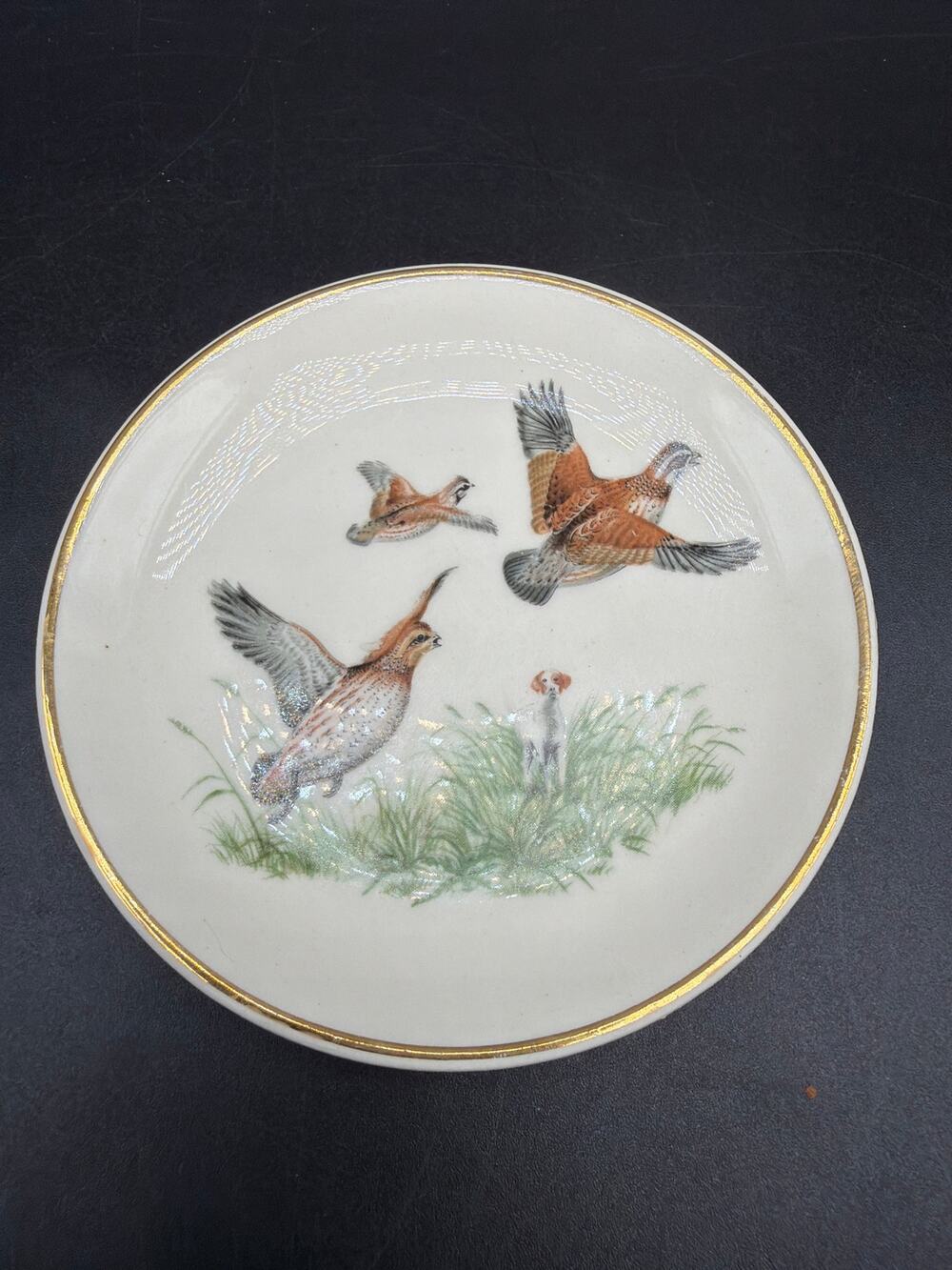 Vintage Salem China Game Bird Plate Pheasants & Hunter Hound 23K Gold MCM USA